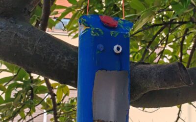 Nastava prirode : izrada hranilice za ptice i uzgoj presadnica