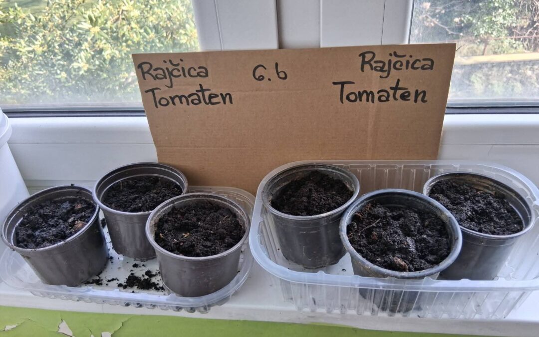 Proljetni radovi u vrtu